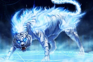 Download Wallpapers 1280x720 Tiger, Fire, Rage, Eyes HDTV 720p ...