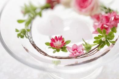 Beautiful Flower Backgrounds