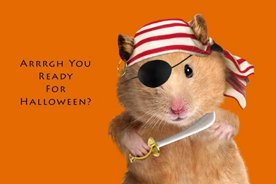 Pirate, Wallpaper, Halloween (