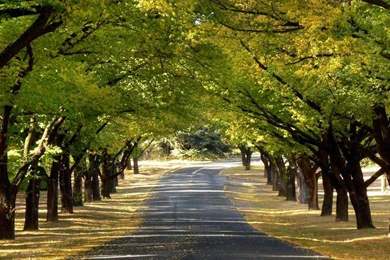 Computer Desktop Wallpapers HD HD Wallpapers Desktop Wallpapers ...