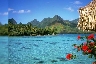 Free Computer Backgrounds HD Wallpapers Desktop Wallpapers ...