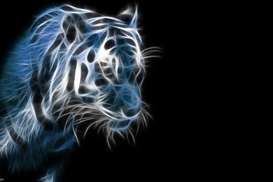 Tiger 3D High Definition Wallpapers Attachment 6583 Amazing ...