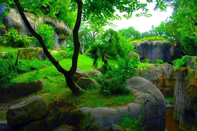 Best hd wallpapers free 3D.jpg