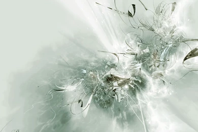 Wallpaper Backgrounds: White Backgrounds Of All Colors.