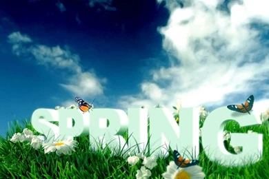 3D Spring Wallpapers Flower And Butterflies Photos Of Selecting The ...