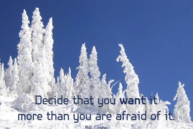 Free Winter Desktop Backgrounds Wallpapers   21689