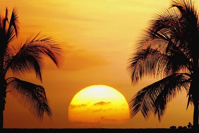 Hawaii Beach Sunset Wallpapers   198379