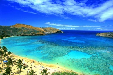 Gallery For   Hawaiian Wallpaper Backgrounds
