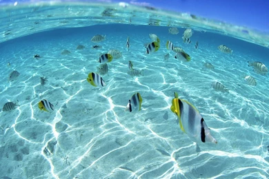 Hawaii Beach   Hawaii's Aquamarine Sea And Blue Sky1920*1080第5 ...