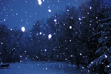 One Snowy Night By Tofubunny On DeviantArt