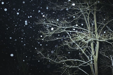 Snowy Night – BUZZERG