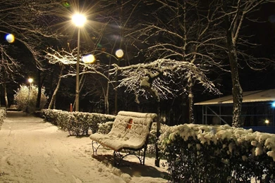 Winter Night Snowy HD Images Wallpapers 3992   HD Wallpapers Site
