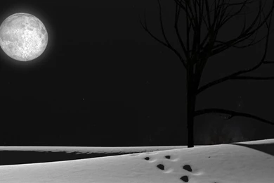 Snowy Night Wallpapers » WallDevil   Best Free HD Desktop And ...