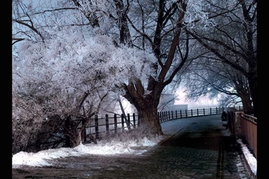 Snowy Night I By Serika On DeviantArt