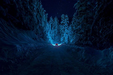 Snowy Night In Sweden Wallpapers   Mylinea.com