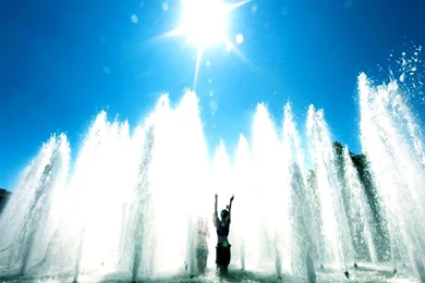 Beautiful Summer Wallpapers   Crazy Frankenstein