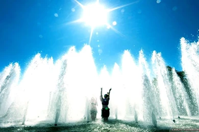 Beautiful Summer Wallpapers   Crazy Frankenstein