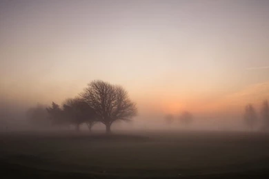 1366x768 Foggy Morning Sunrise Desktop PC And Mac Wallpapers