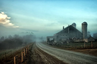 Foggy Farmstead Wallpapers
