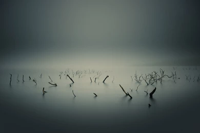 Foggy Lake Wallpapers