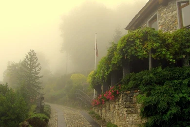 Foggy Street Wallpapers   World Wallpapers