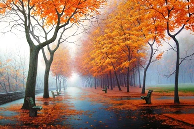 First Day Of Autumn Foggy Wallpapers   Free Wallpapers Page