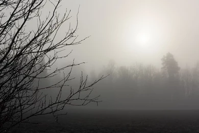 Spring Garden Bench Wallpapers