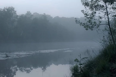 Foggy Wallpapers By Janfoto On DeviantArt