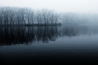 Foggy Lake And Forest Wallpapers