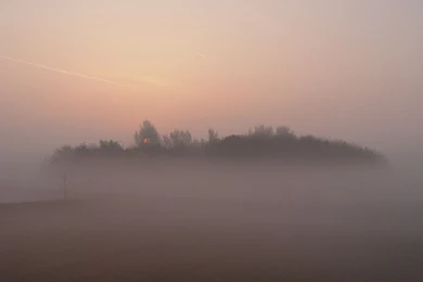 1680x1050 Foggy Morning Desktop PC And Mac Wallpapers