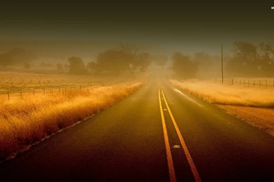 Foggy Country Road Wallpapers