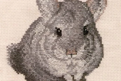 Mums Chinchilla By AmoAngelus On DeviantArt