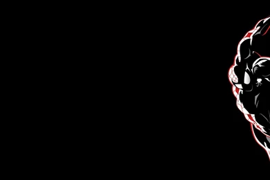 12 Superior Spider man HD Wallpapers