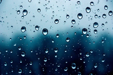 Water Droplets Wallpapers