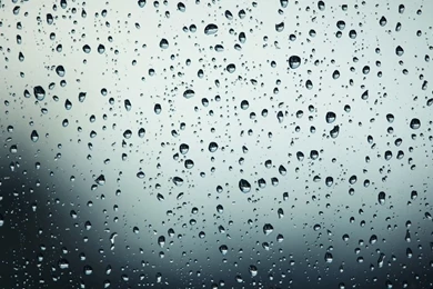 Water Droplets Wallpapers