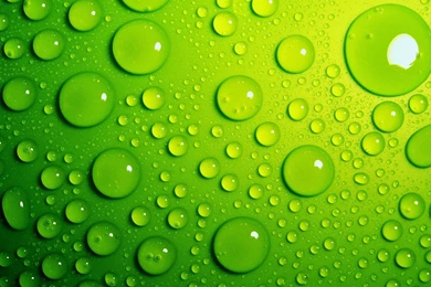 Green Water Drop Desktop Wallpapers 4413 2560x1600 Px ...