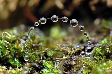 Colorful Water Drops Wallpapers