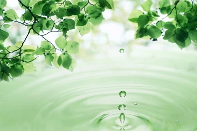 3D Leaves And Water Drop Apple Ipad Wallpapers