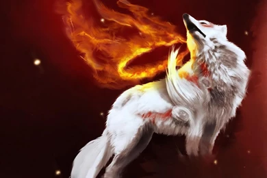 Cool Wolf Backgrounds