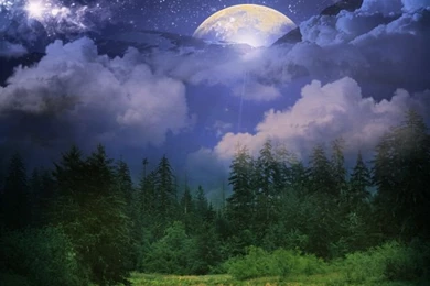 Premade Forest Backgrounds By Anutka milashka On DeviantArt