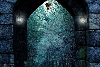 Forest Backgrounds FGM By FairieGoodMother On DeviantArt