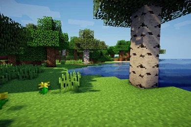 Some Minecraft Scenery