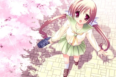 Anime Girl Spring Blossoms Wallpapers
