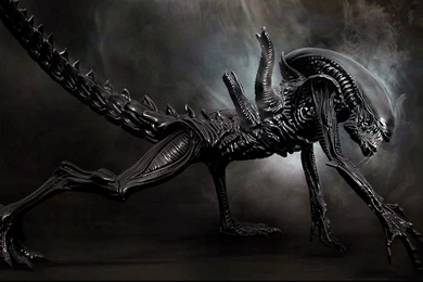 Gallery For   Aliens Wallpapers