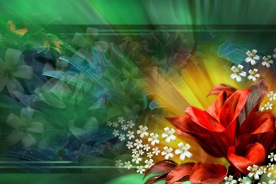 Hd Flowers Wallpapers Free Download   Wallpapers HD Wide