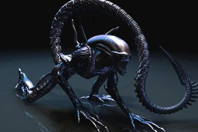 Alien Wallpapers   (