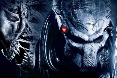 Gallery For   Predator Movie Hd Wallpapers