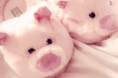Wallpapers Piggy Slippers By Besersilady By Besersilady On DeviantArt