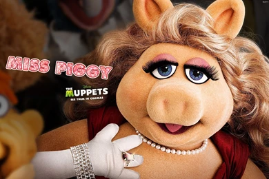 Missy Piggy
