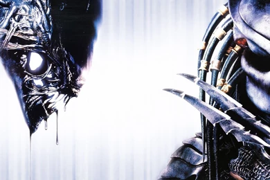 Xenomorph HD Wallpapers